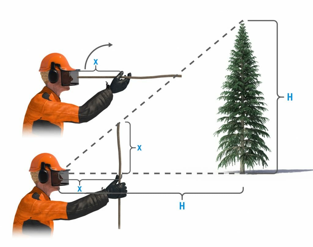 Illustration of how to use a stick in different angles to estimate how tall a tree is