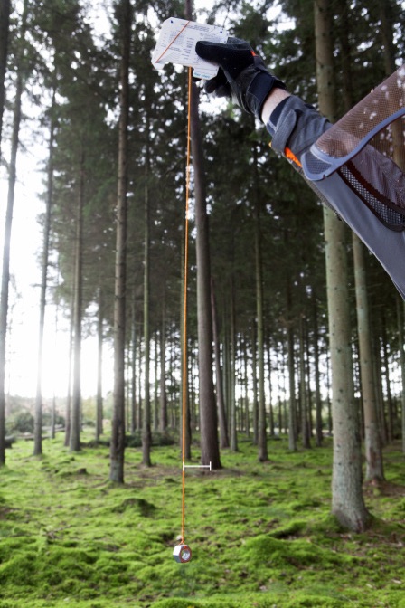 Measure the lean of the tree