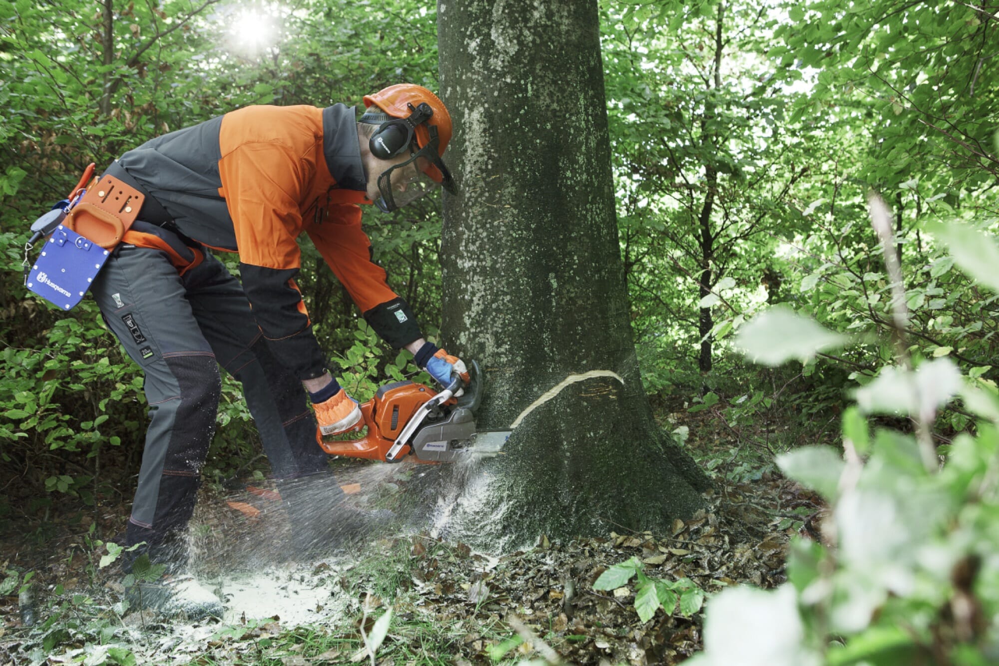 Forestry worker making a top cut