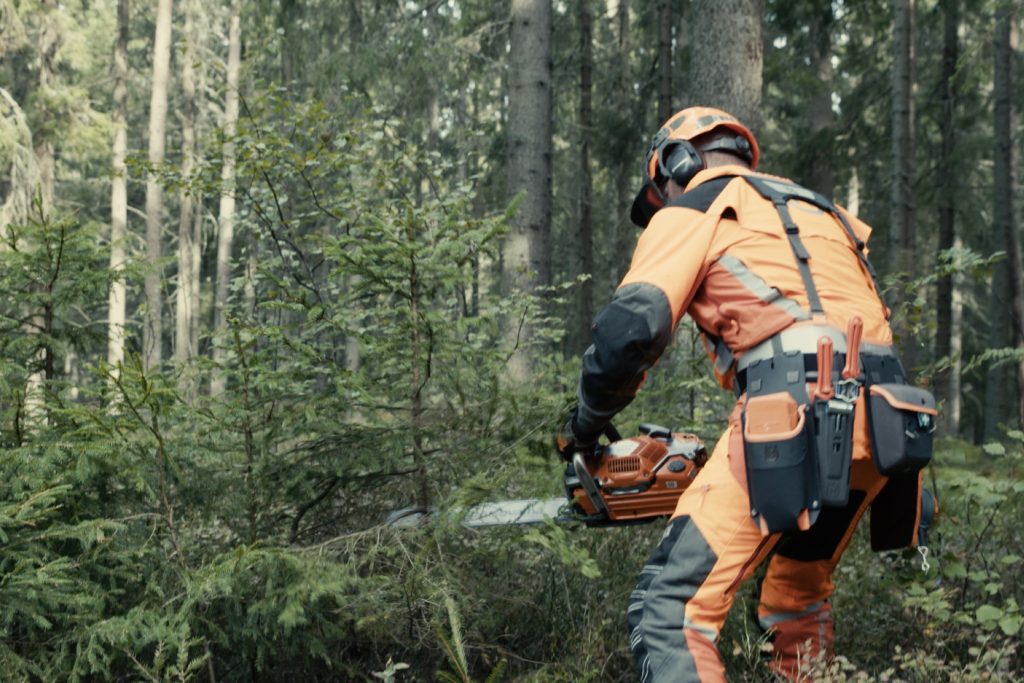 Forestry working clearing undergrowth near a tree.
