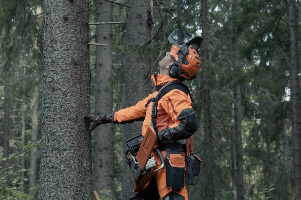 Forestry worker looking upwards to estimate the height of a tree
