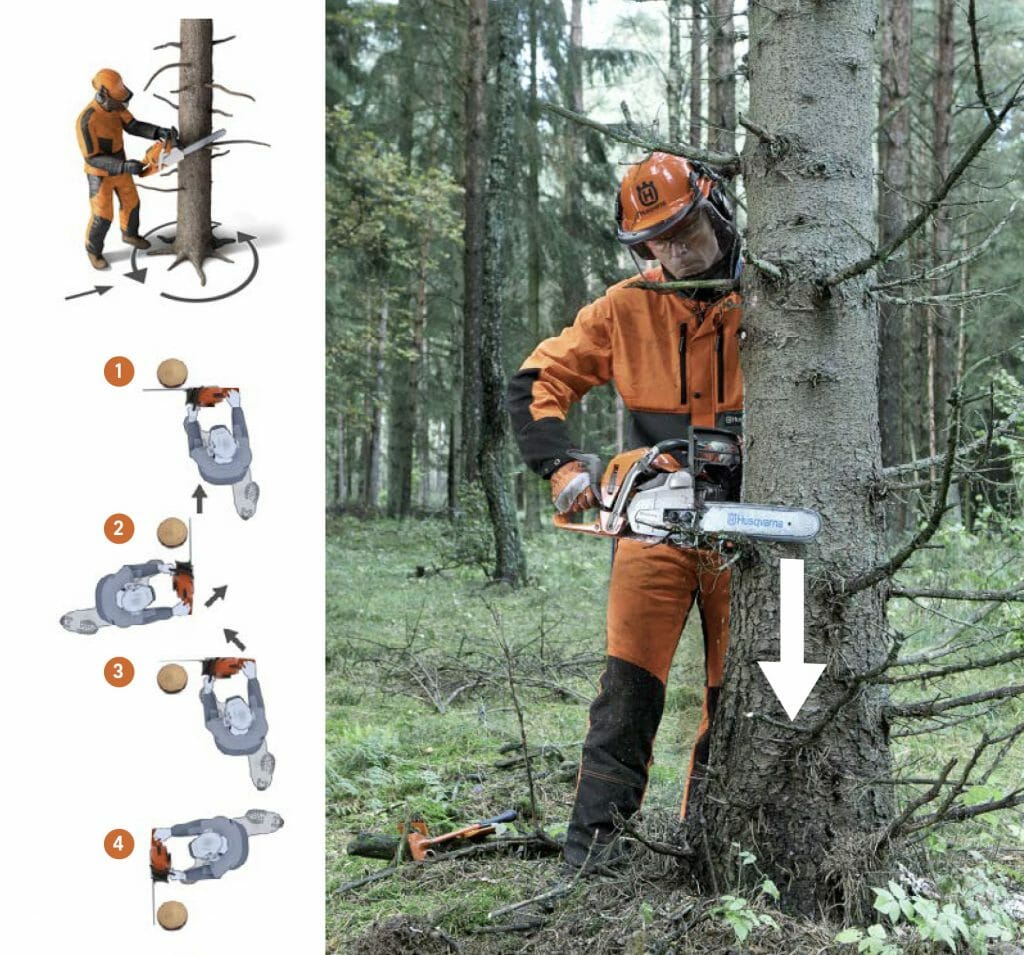 Picture and illustrations showing technique and work pattern for removing low branches and twigs before felling a tree