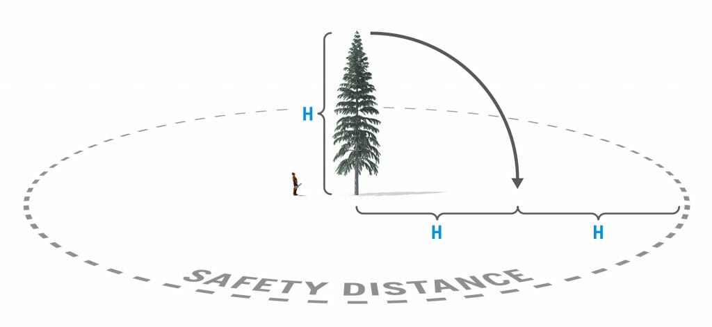Illustration of recommended safety distance from the tree that should be felled