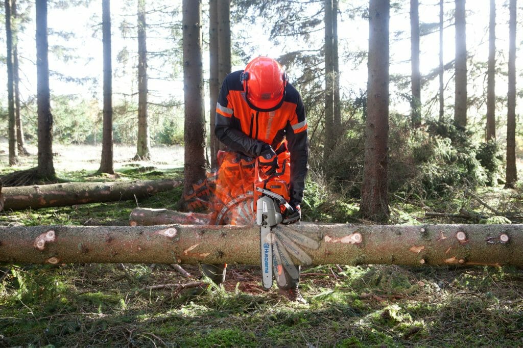 Forestry worker limbing, resting the saw body against the trunk and using the saw as a lever