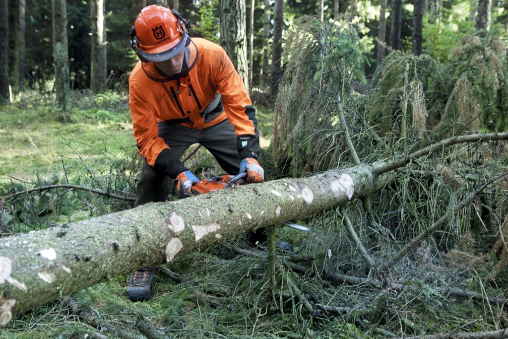 Close-up of a number of cuts that reduce the tension in a thick branch until it breaks