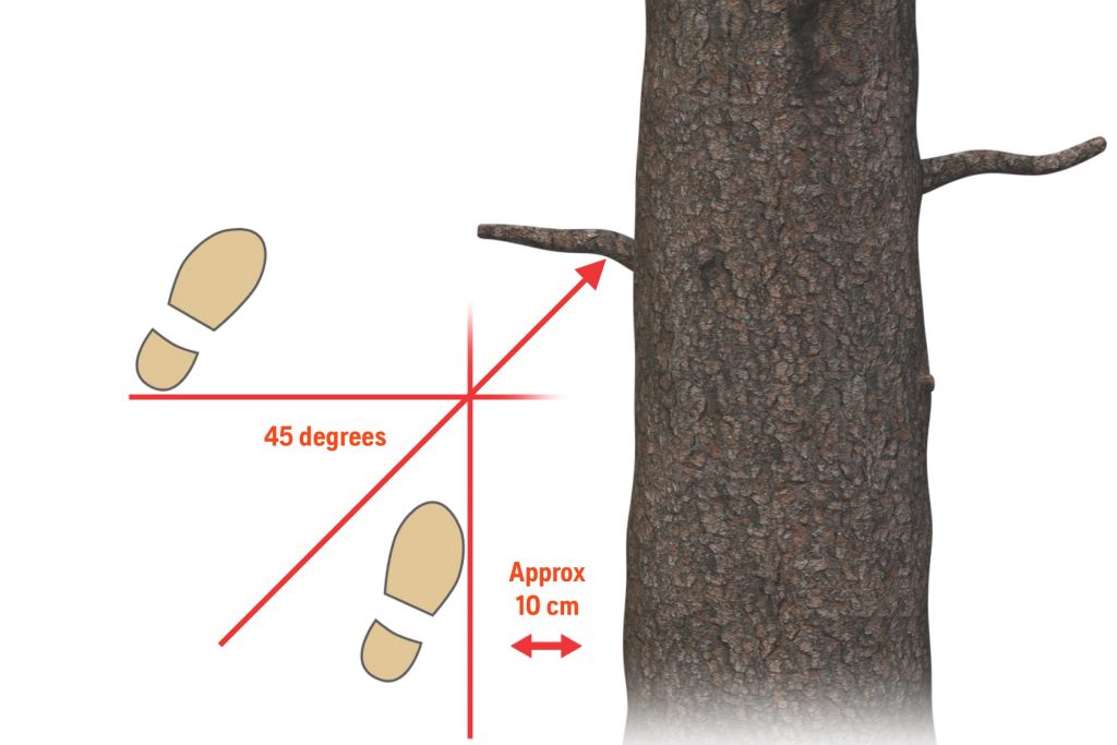 Illustration on how to position the feet for safe limbing
