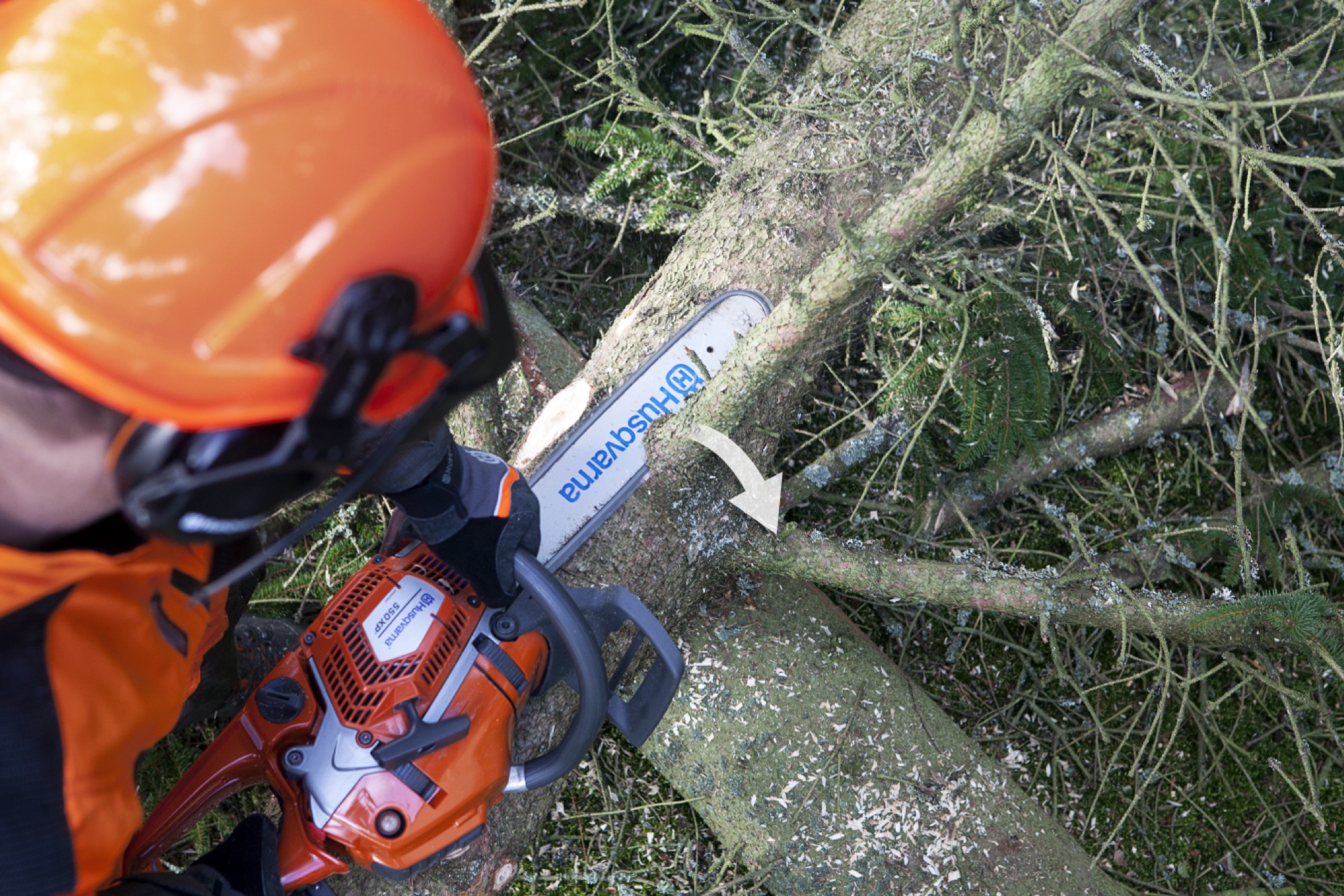Forestry working limbing a branch at the top side of the tree again, cutting from left to right