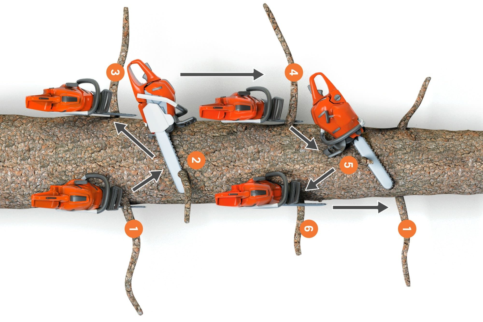 A tree seen from above, graphics showing the work flow for basic and advanced limbing technique.