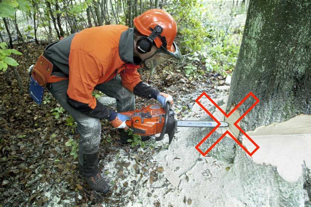 Forestry worker is incorrectly putting the nose of the guide bar into the trunk