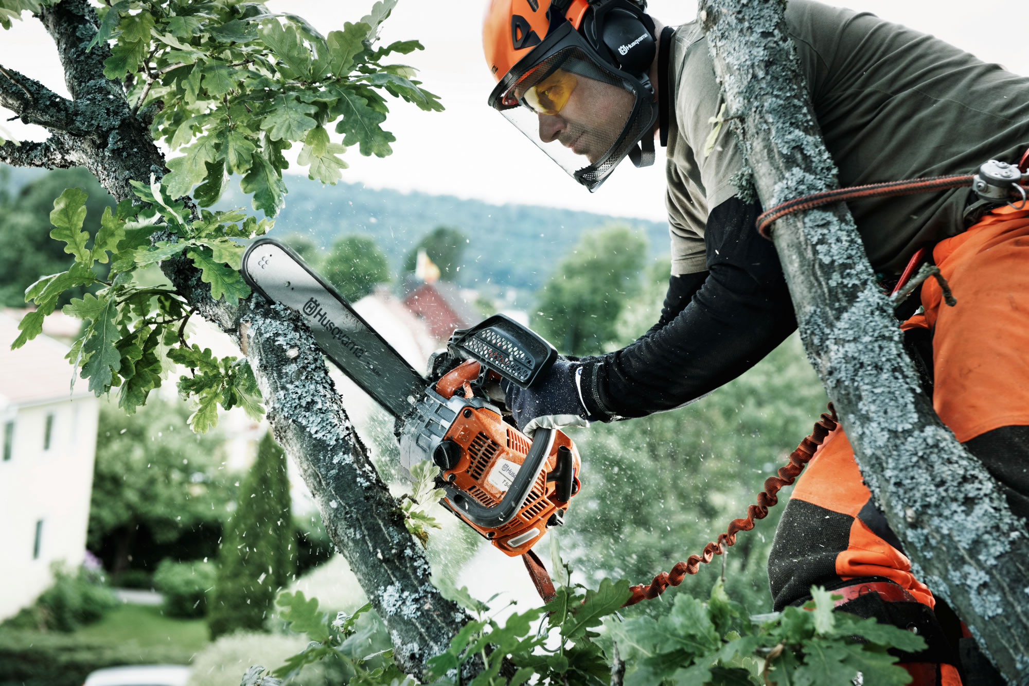 ChooseChainsaw_T540_H150-0064