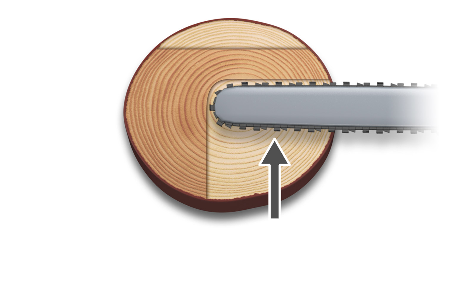 Illustration showing how to cut part of the diameter, which is the first step of the Saved edge method