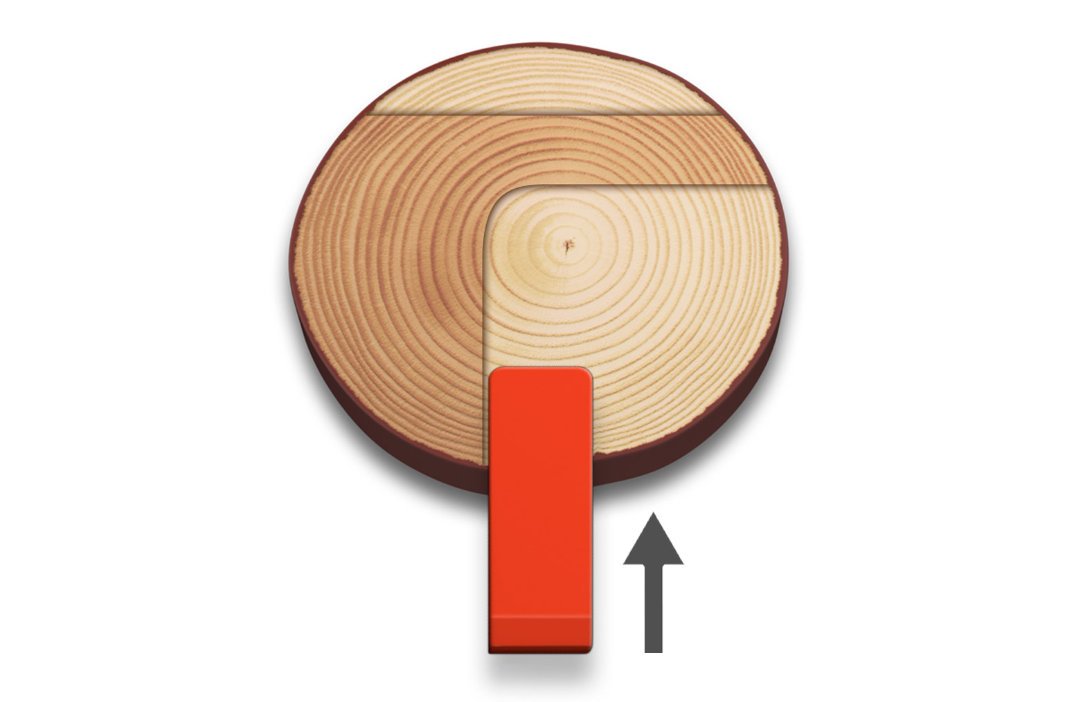 Illustration showing how a wedge is used to secure the tree