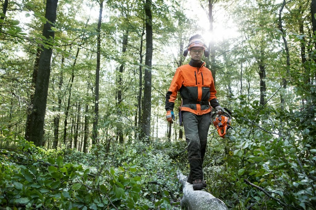 Learn safe chainsaw use