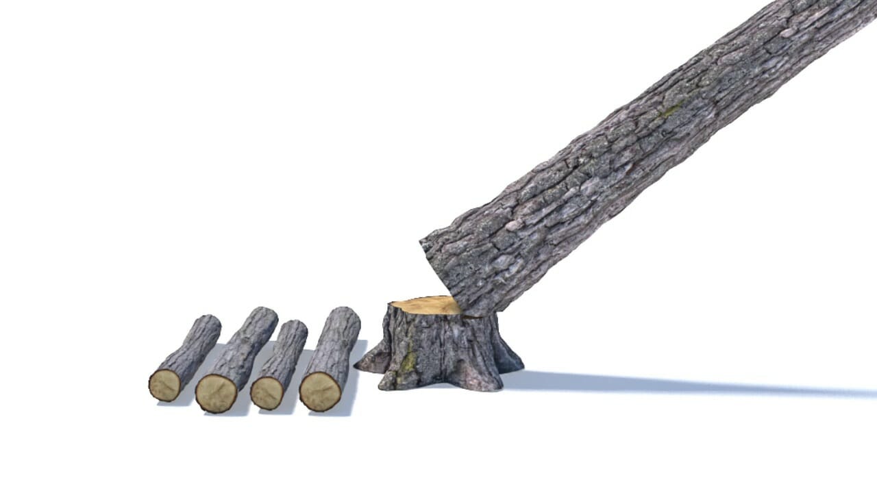 Branches and poles are lying on the ground in front of the hung-up tree to form a slider bed
