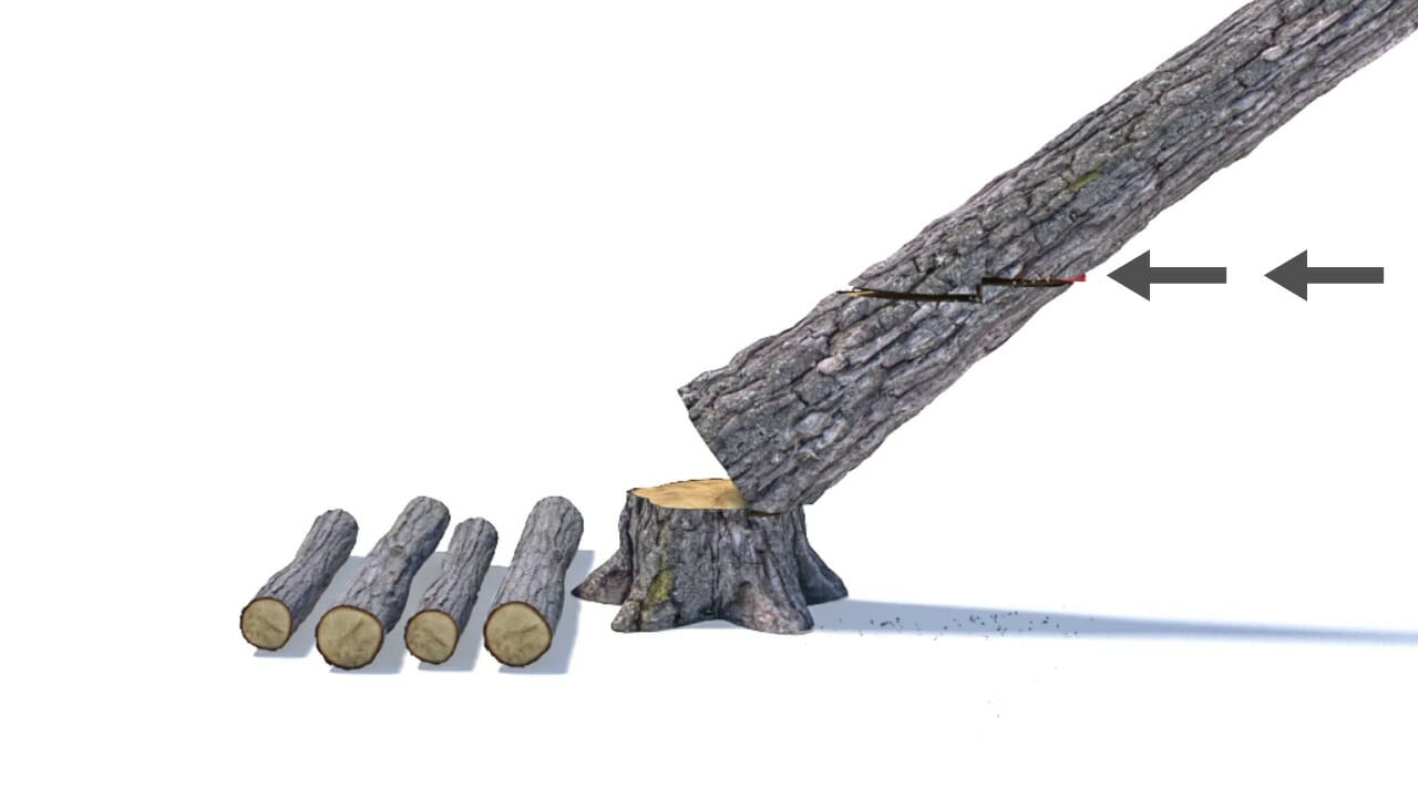 A wedge is knocked into the backside cut until the wood fibres split between the two cuts