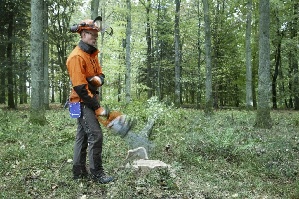 Forestry worker makes the chainsaw’s guide bar hit a tree stump, which triggers the chain brake