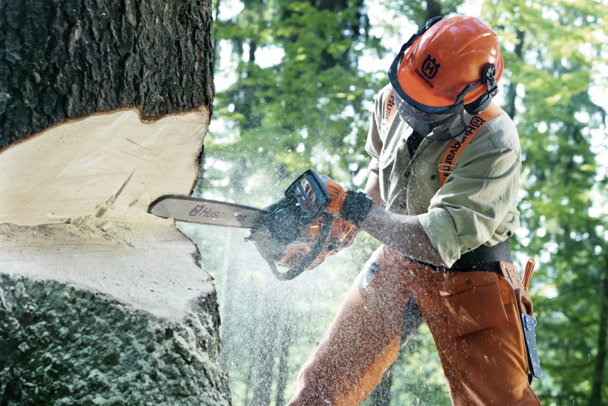 Professional chainsaws