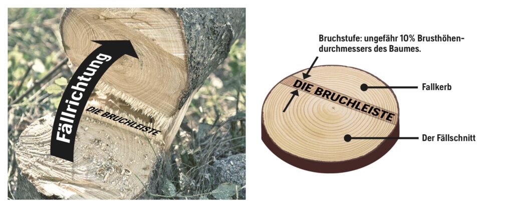 1_TheHinge_DE