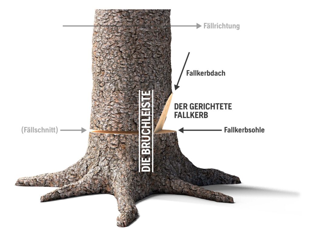 2_TheDirectionalNotch_DE