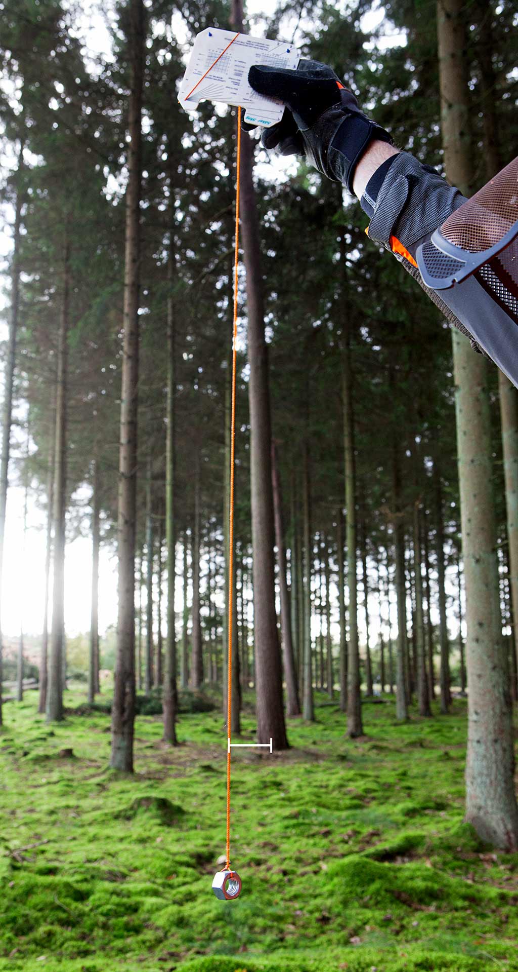 Images Working with chainsaws, part 2