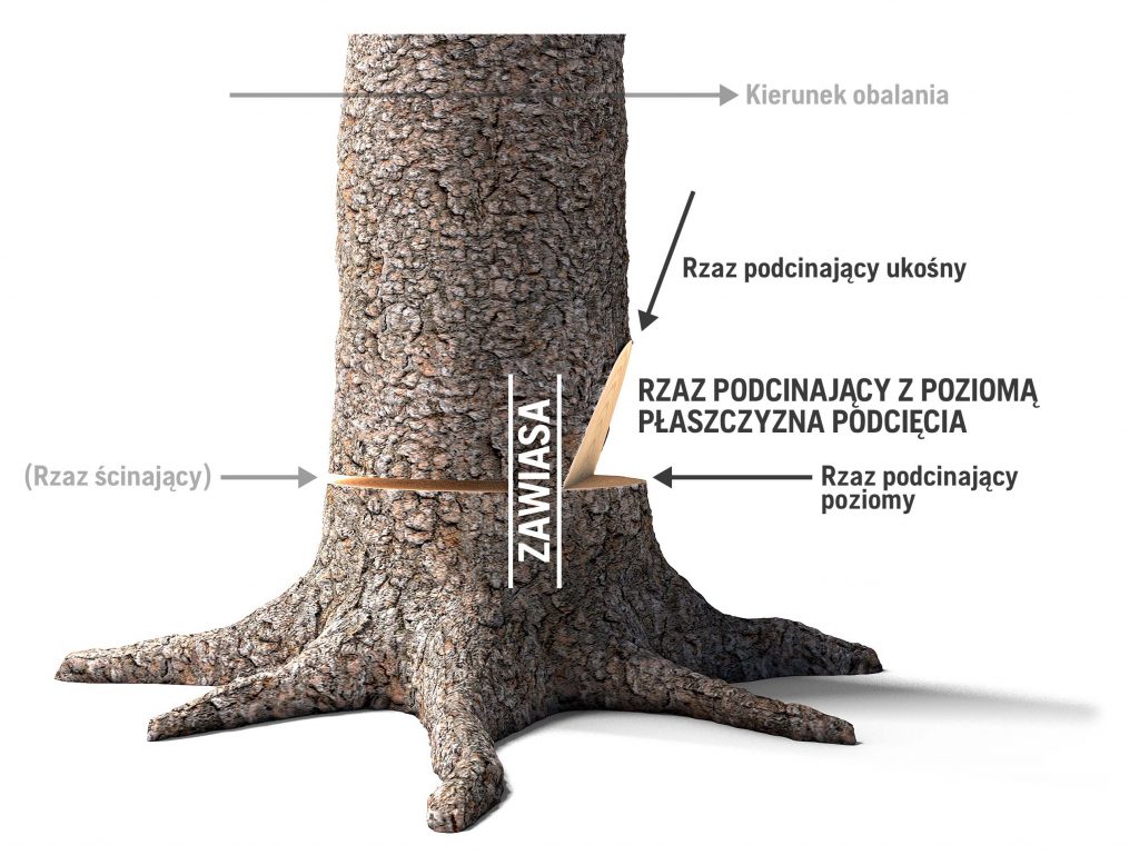 2_TheDirectionalNotch_PL
