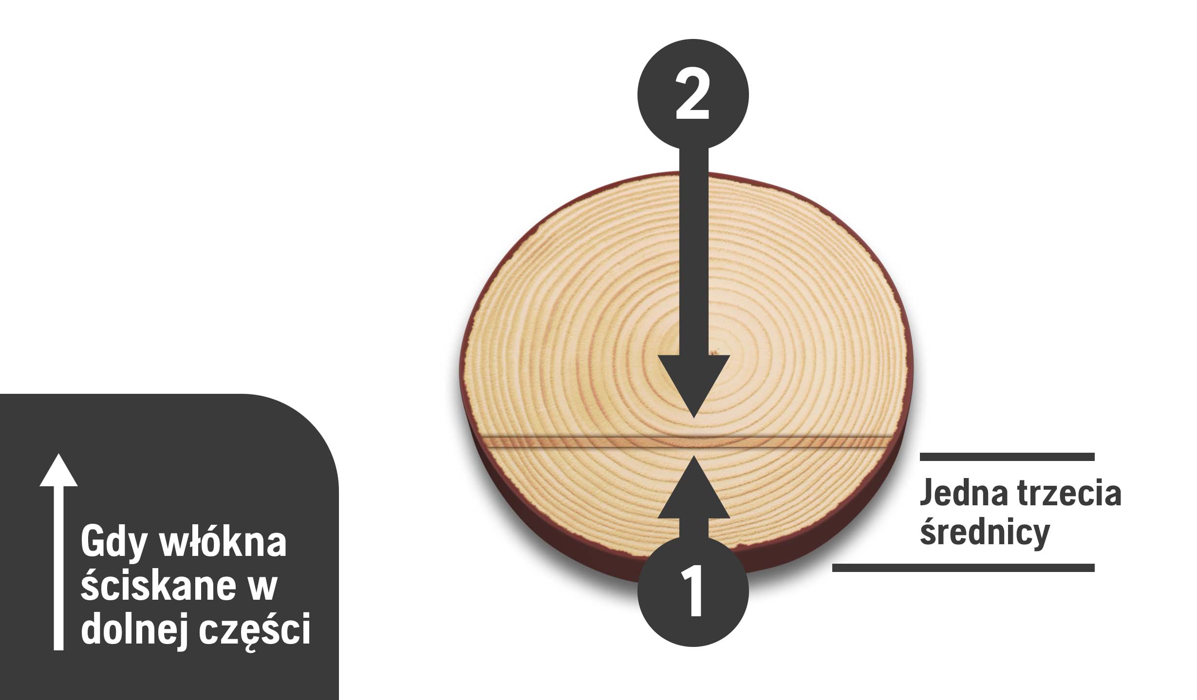 CrosscuttingTechniques_Bottom